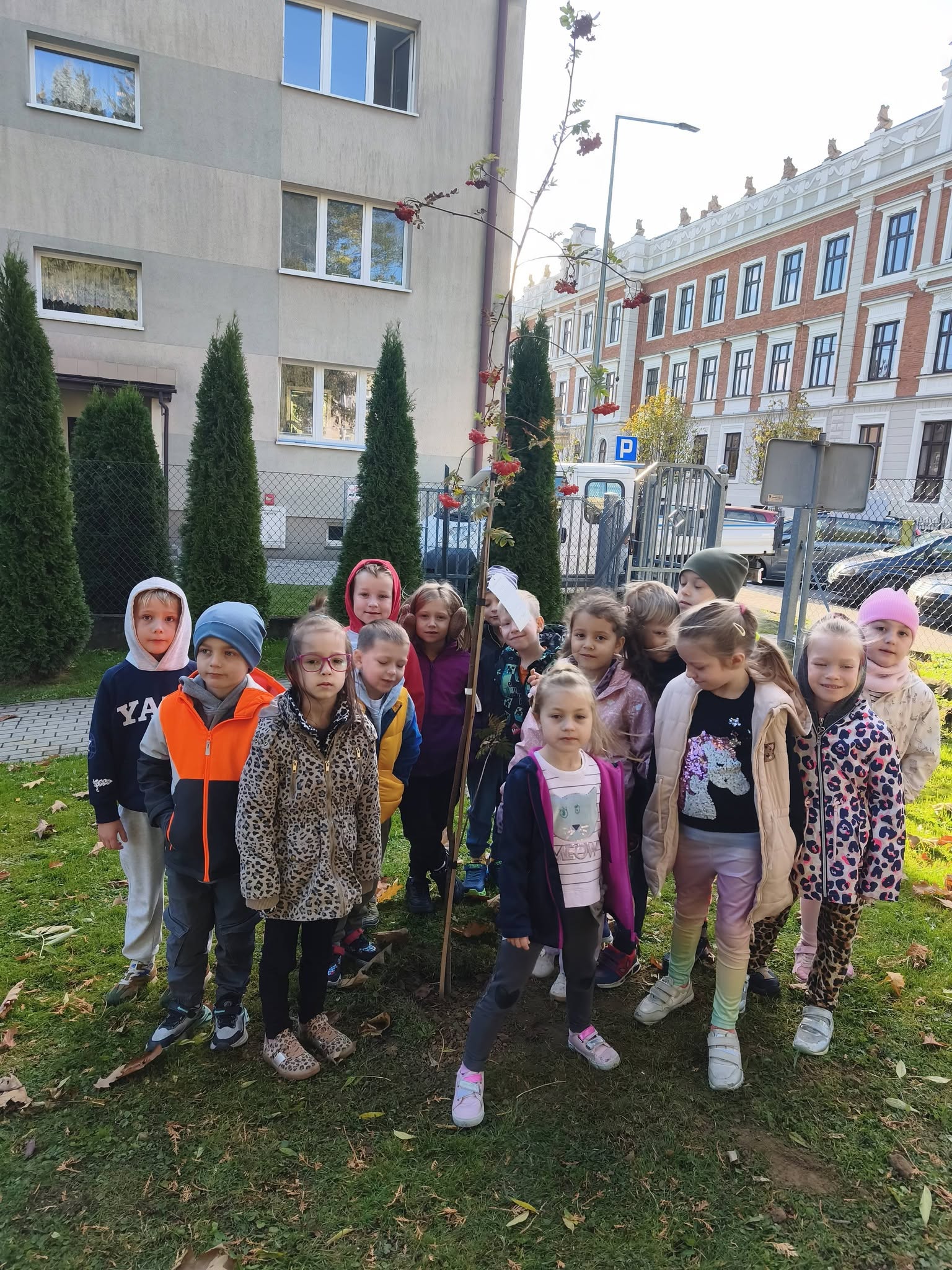 Dzień Drzewa w Miejskim Przedszkolu nr 1 w Gorlicach